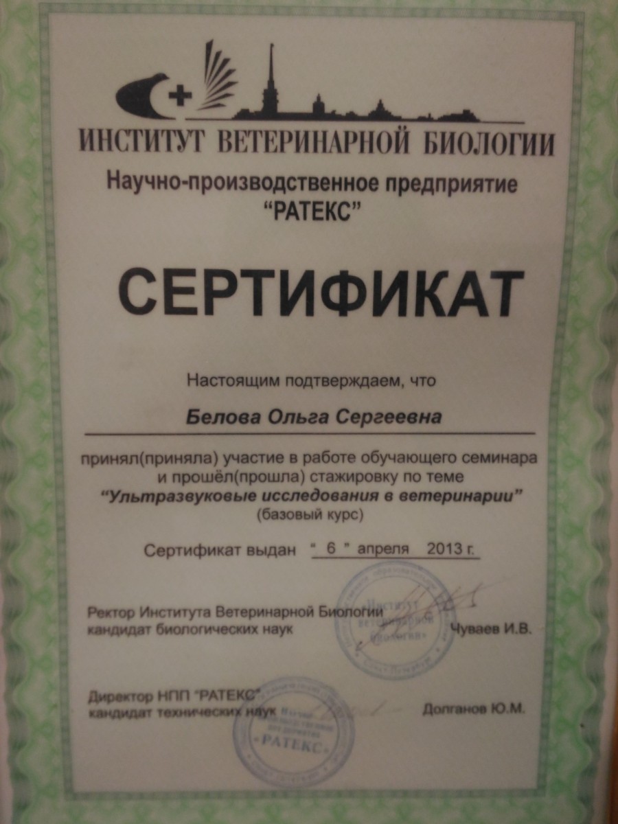 Сертификат Беловой Ольги Сергеевны - ветеринара клиники Кот Матроскин - фото