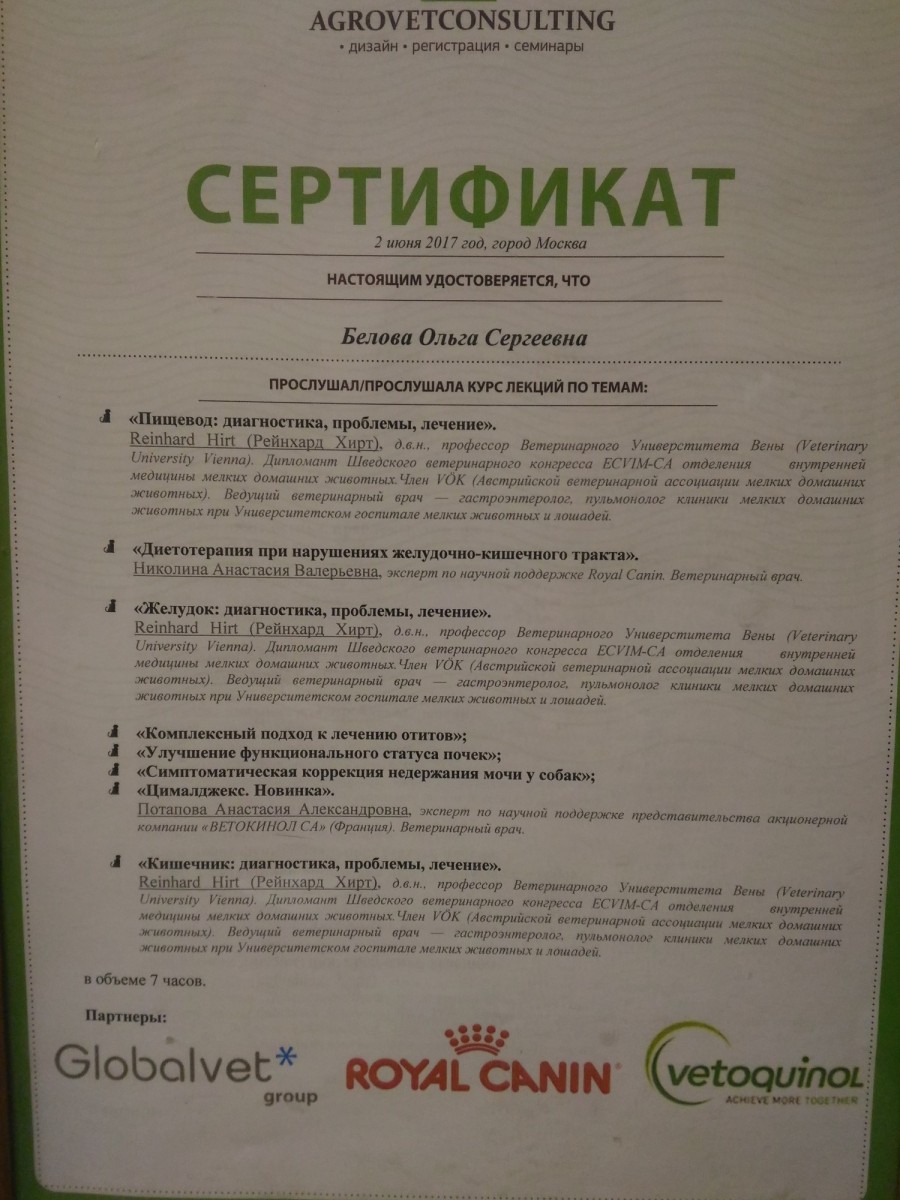 Сертификат Беловой О.С. - фото
